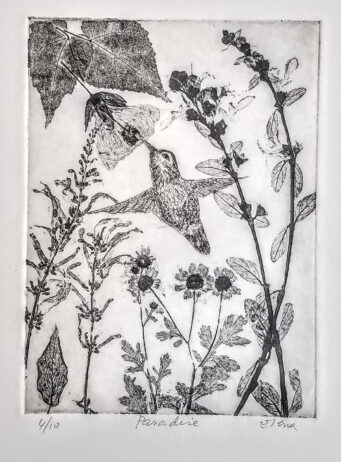 Hummingbird flying among flowers